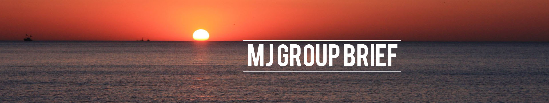 MJ GROUP