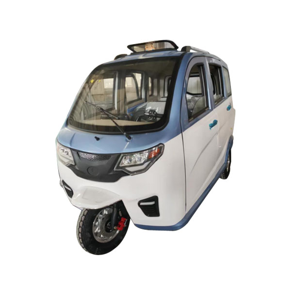 Item NO.: M313 moto taxi EV