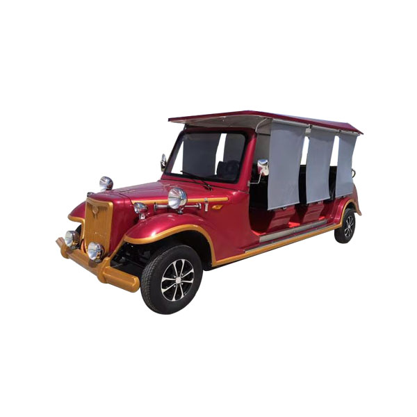 Item NO.: Royal Car EV with cover